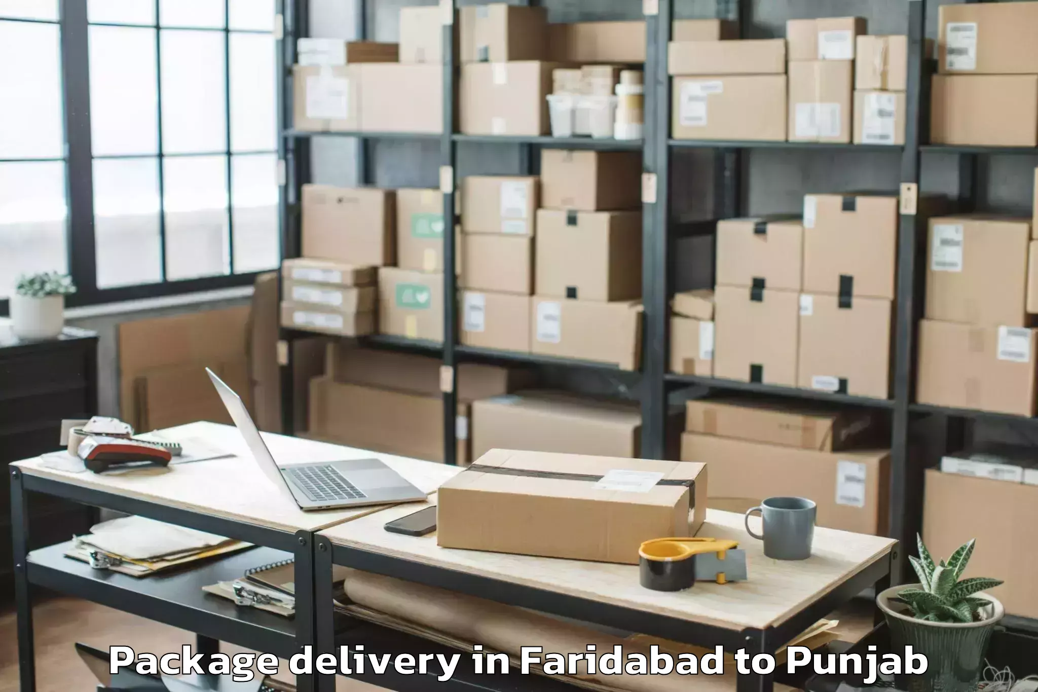 Faridabad to Garhshankar Package Delivery Booking